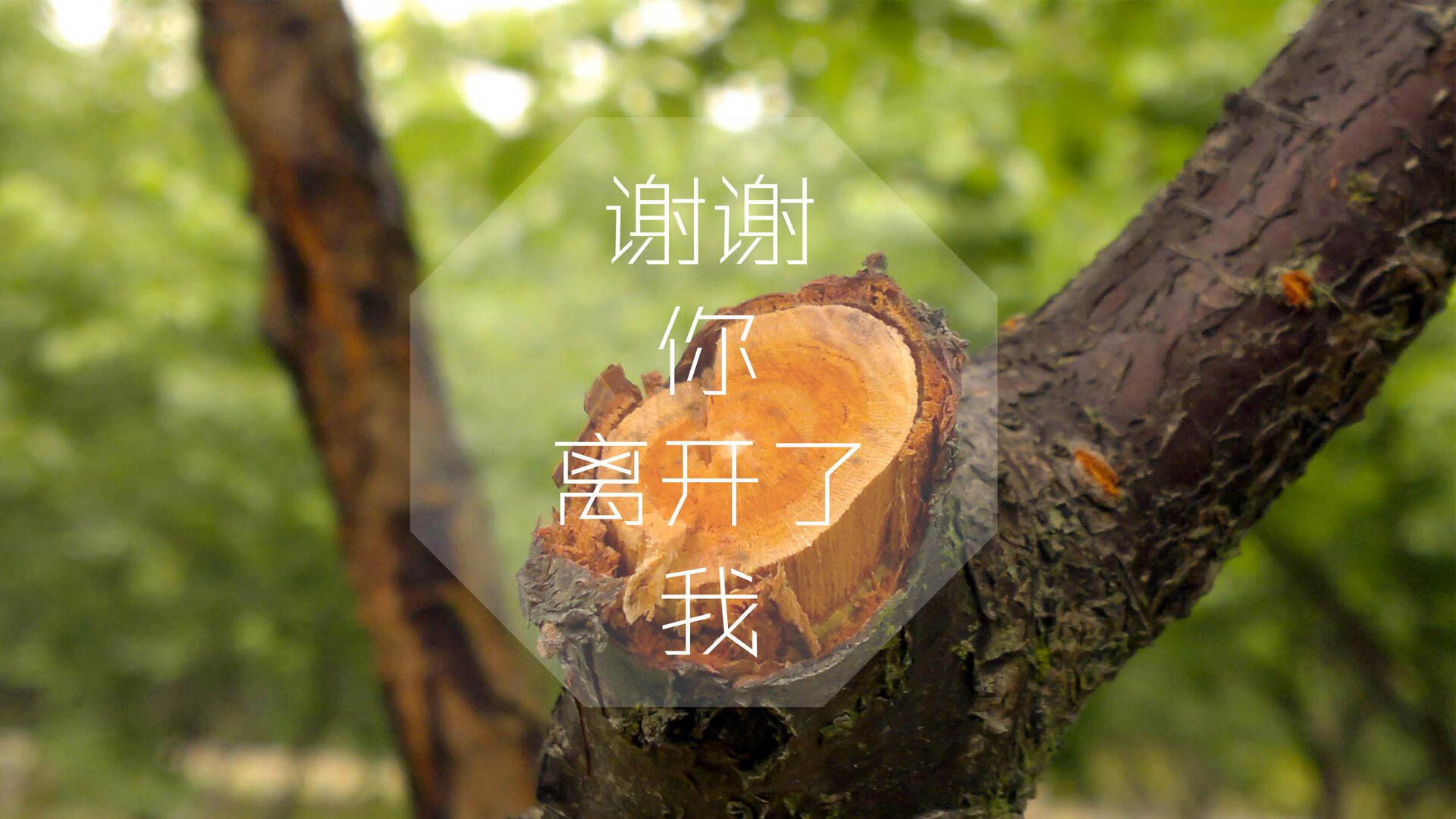 王者荣耀春季赛即将开战，精彩赛程抢先看，王者荣耀春季赛2022