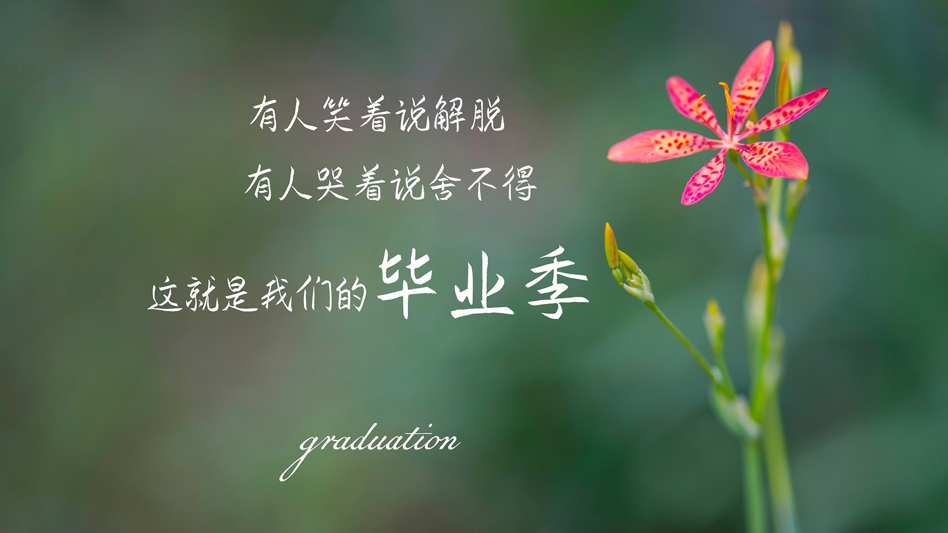 魔术师保罗指挥篮球赛场，尼克斯队再创历史，保罗去尼克斯