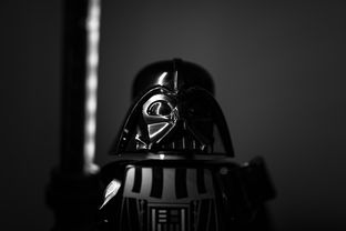 “南非羚羊队的秘密武器：萨尔·巴赫的崛起”