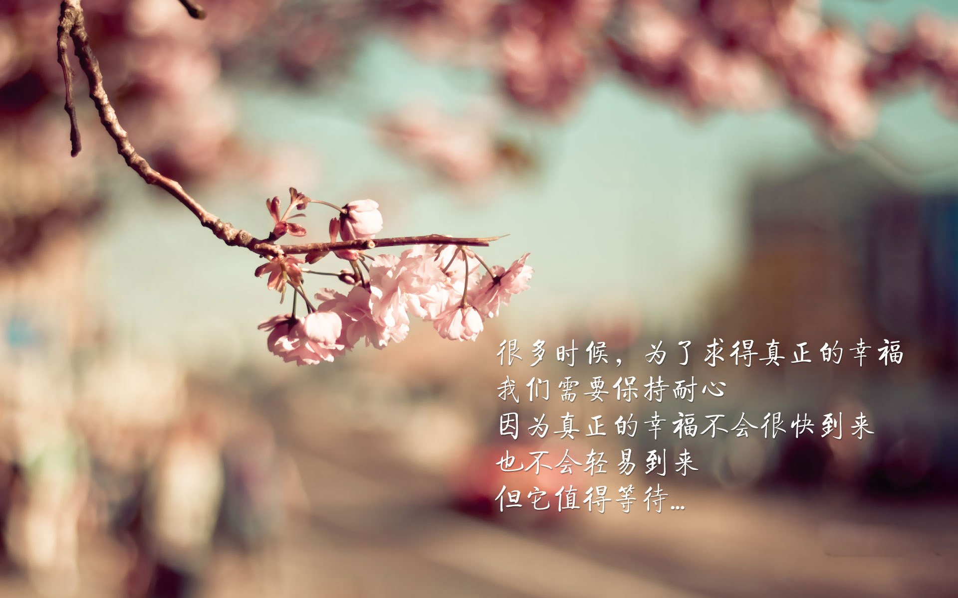 尼日利亚男篮在国际比赛中不断突破，冠军目标明确