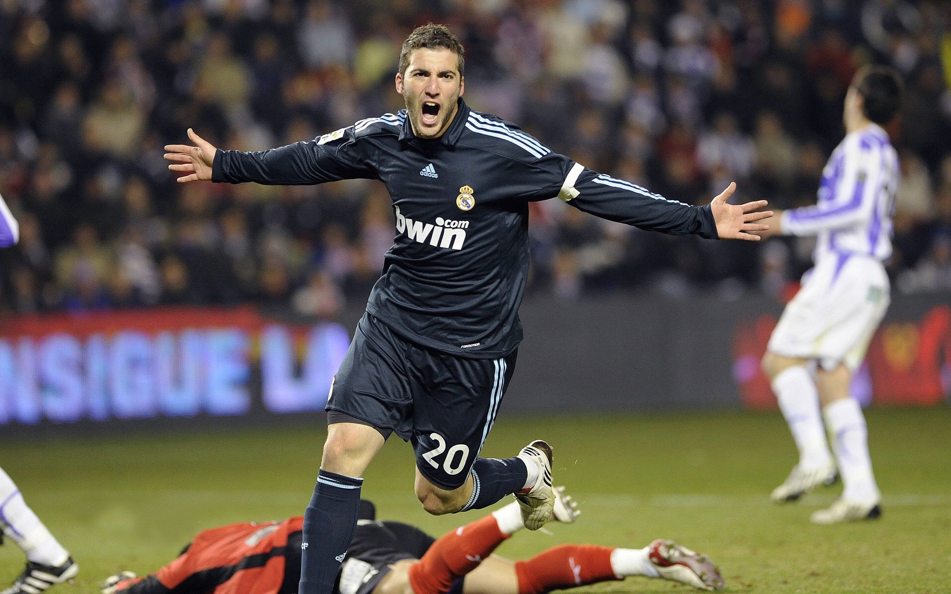 _蓝色海域滑翔：在海浪中自由飞翔_，蓝色的海域