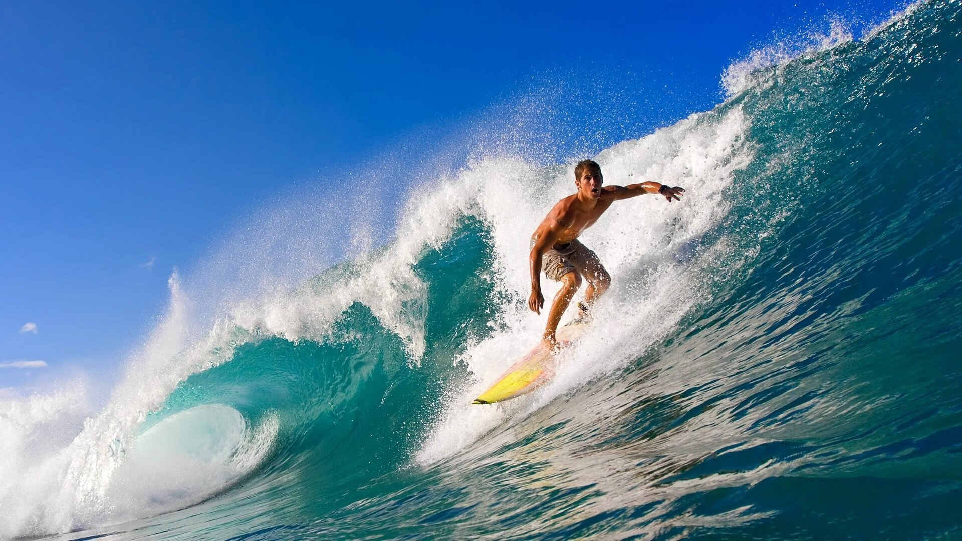 爱游戏电竞-_绿野奇遇：穿越原始森林的生存竞技赛_，原始森林穿越方案